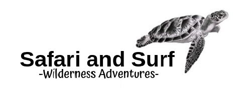 Safari and Surf 3